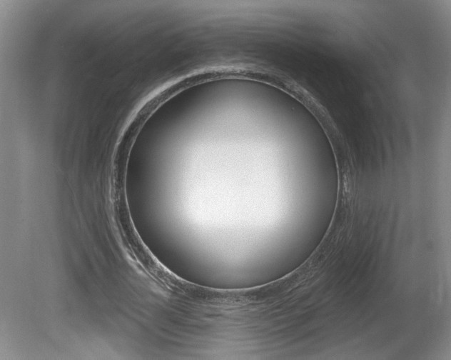 X0000081560724200701150959