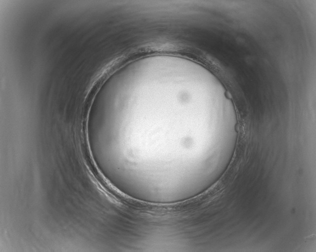 X0000081560725200701150959