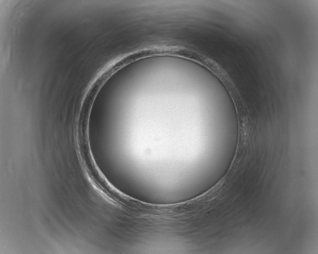 X0000081560726200701150959