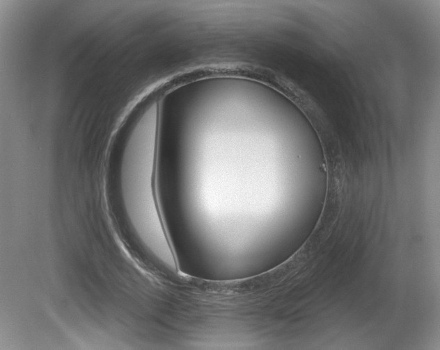 X0000081560728200701150959