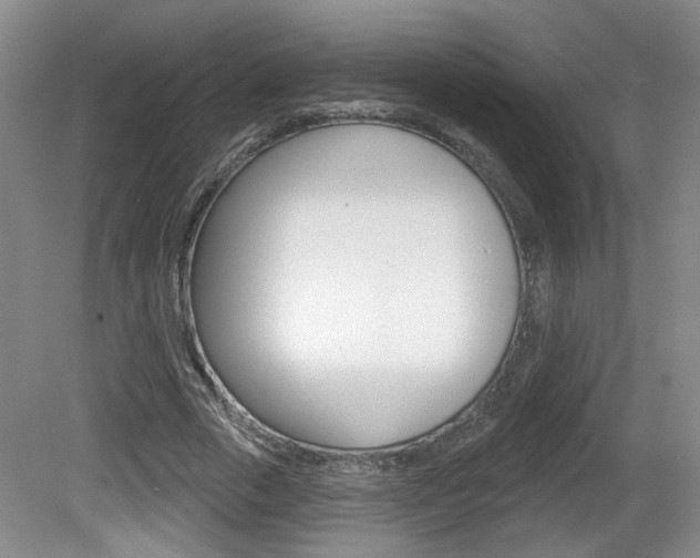 X0000081560729200701150959