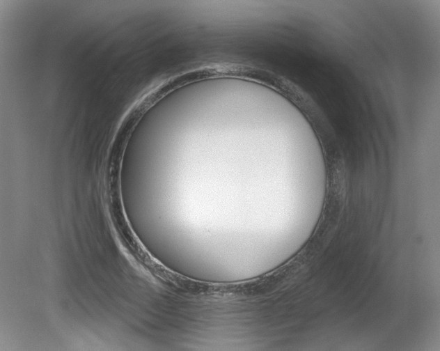 X0000081560730200701150959