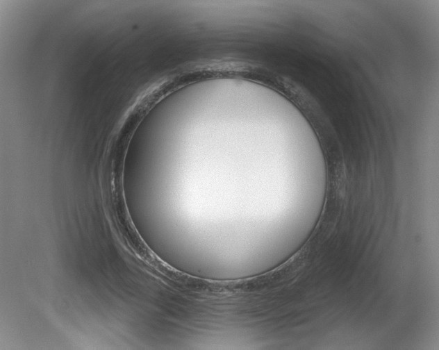 X0000081560731200701150959