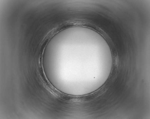 X0000081560733200701150959