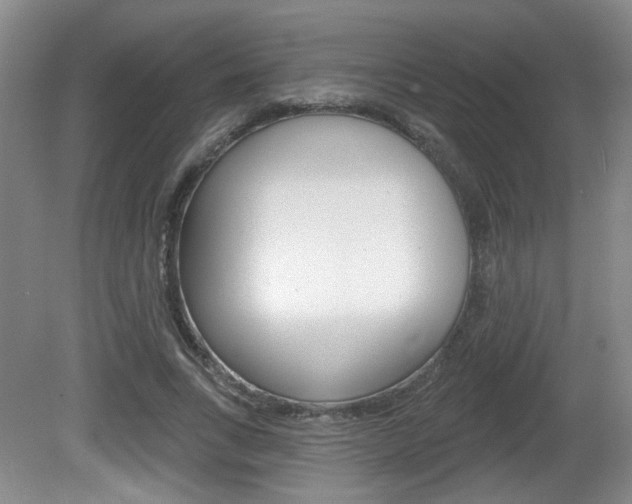 X0000081560735200701150959