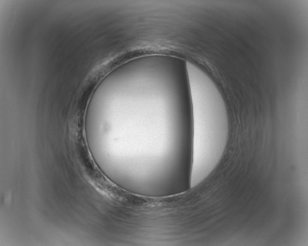 X0000081560736200701150959