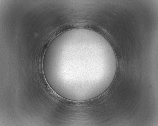 X0000081560737200701150959