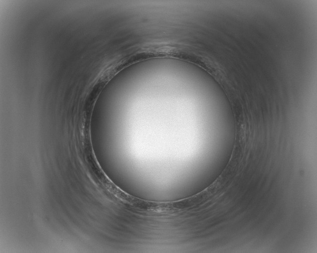 X0000081560739200701150959