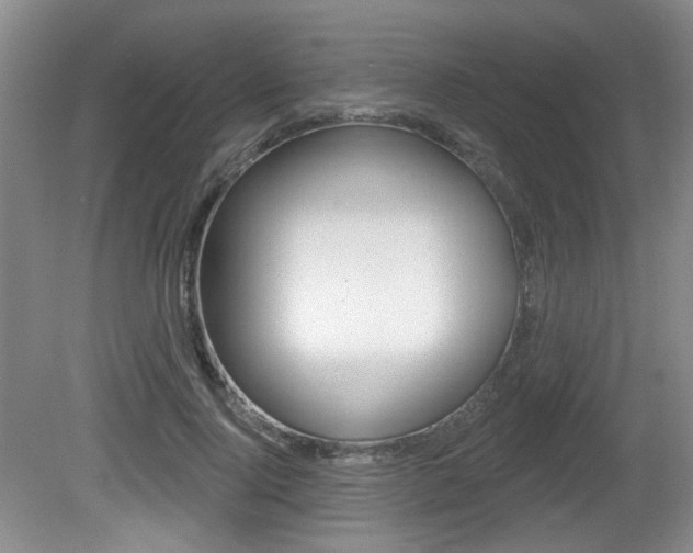 X0000081560740200701150959