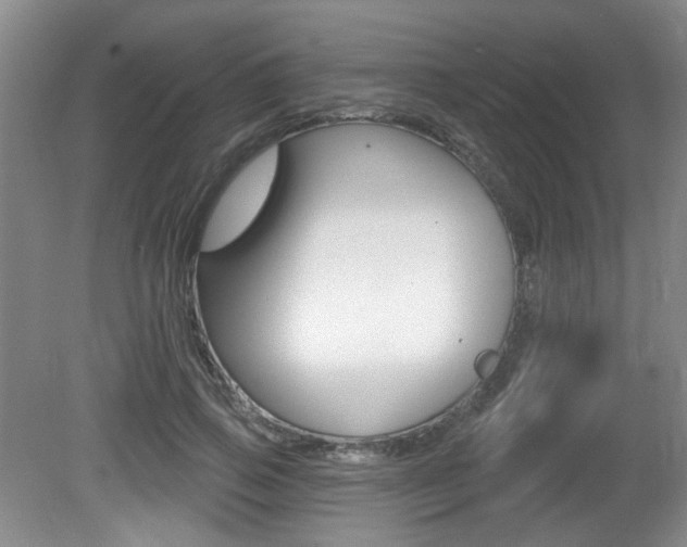 X0000081560741200701150959