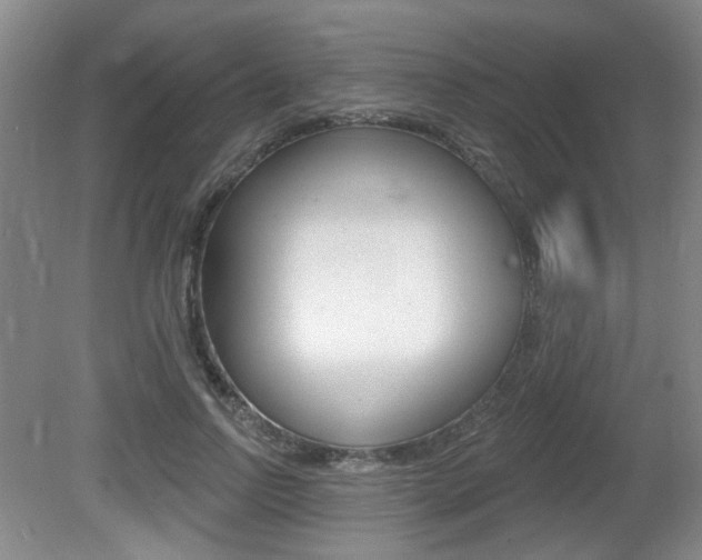 X0000081560742200701150959