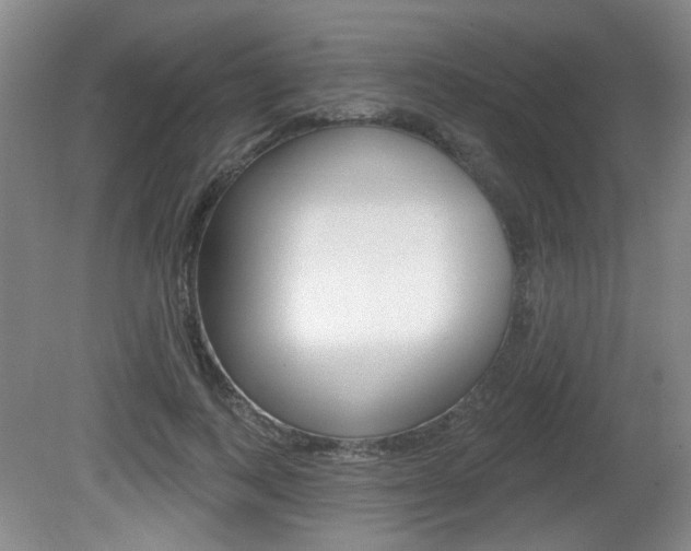 X0000081560743200701150959