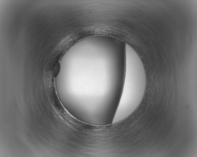 X0000081560744200701150959