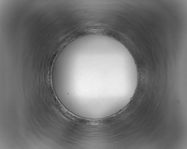 X0000081560745200701150959