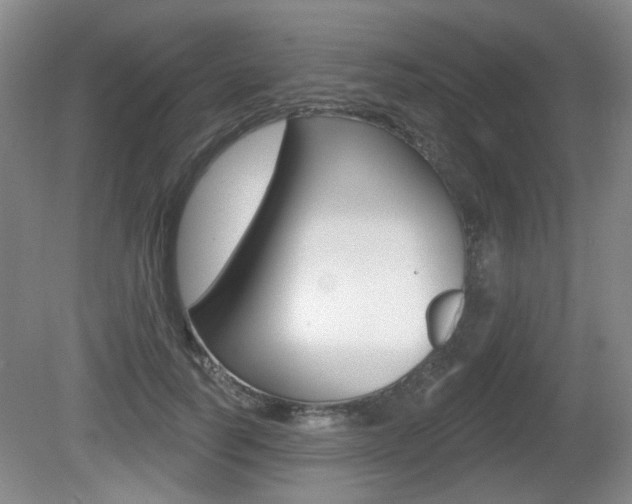 X0000081560746200701150959