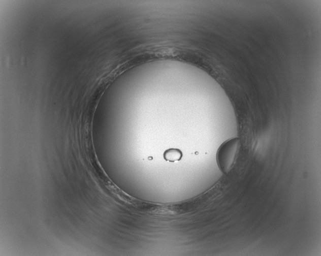 X0000081560747200701150959