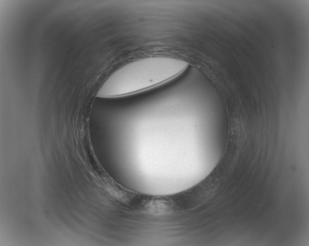 X0000081560751200701150959