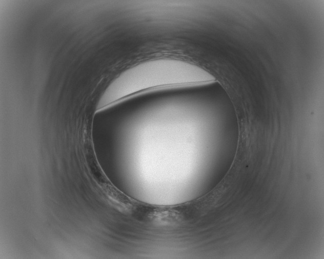 X0000081560752200701150959