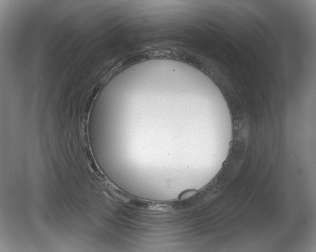 X0000081560753200701150959