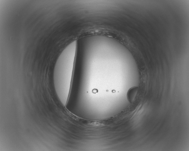 X0000081560754200701150959