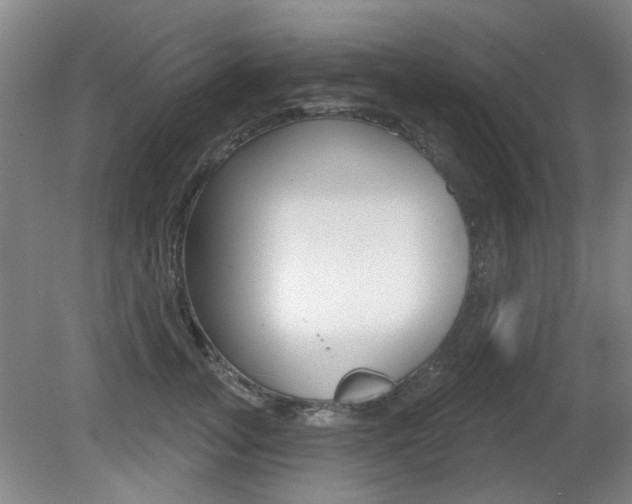 X0000081560755200701150959