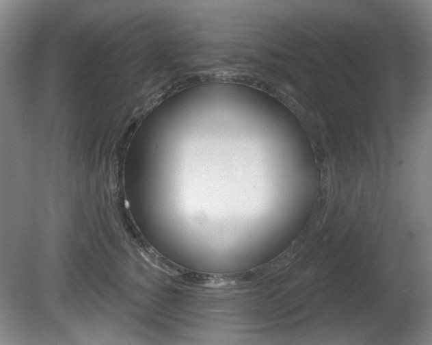 X0000081560760200701150959