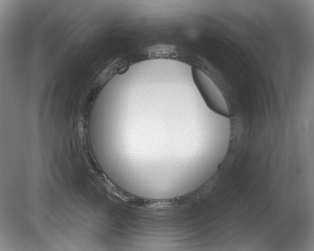 X0000081560761200701150959