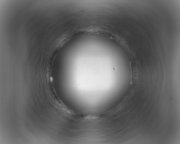 X0000081560762200701150959