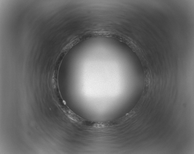 X0000081560764200701150959