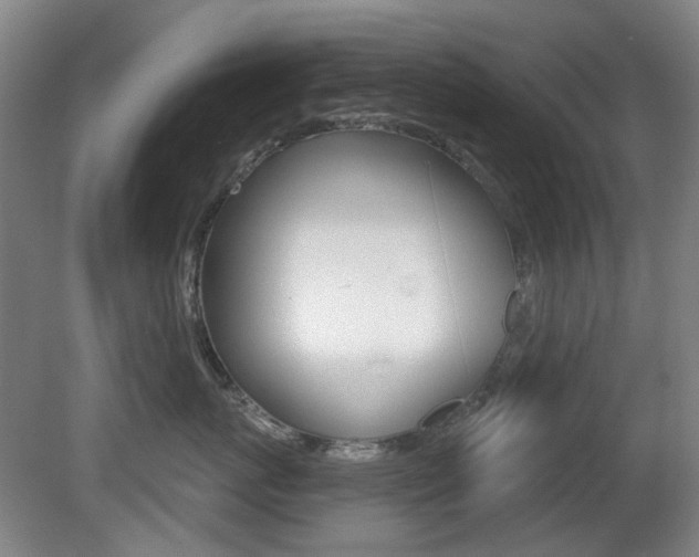 X0000081560767200701150959