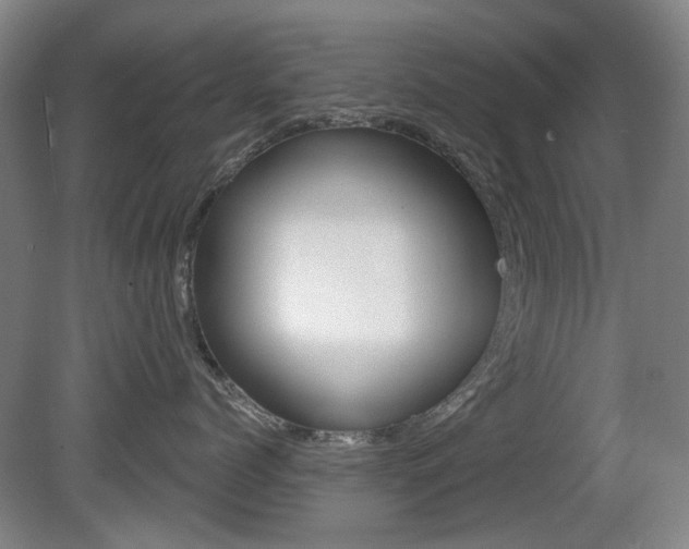 X0000081560768200701150959