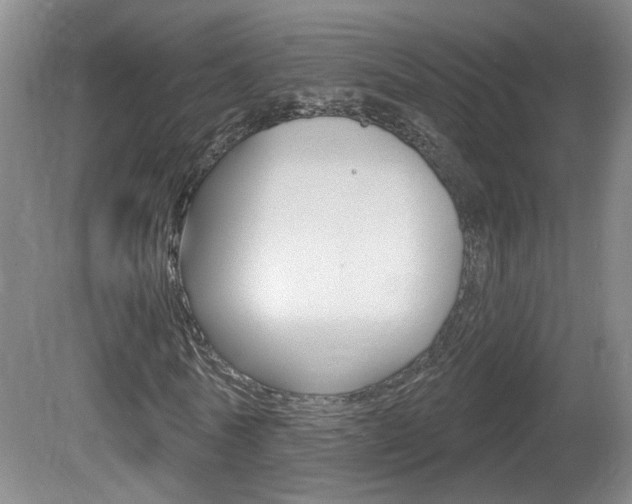 X0000081560770200701150959