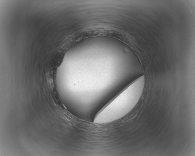 X0000081560771200701150959