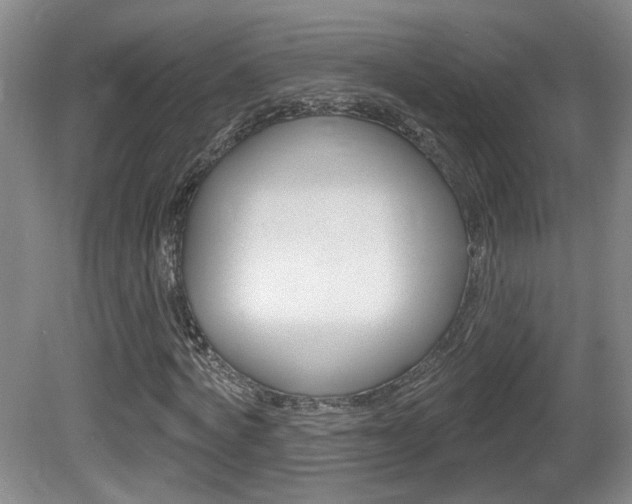 X0000081560772200701150959