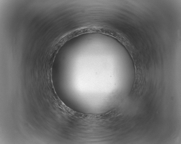 X0000081560773200701150959