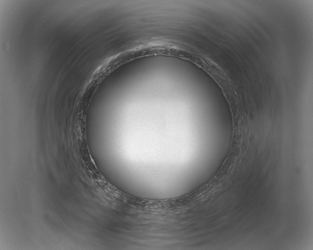 X0000081560776200701150959
