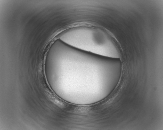 X0000081560778200701150958