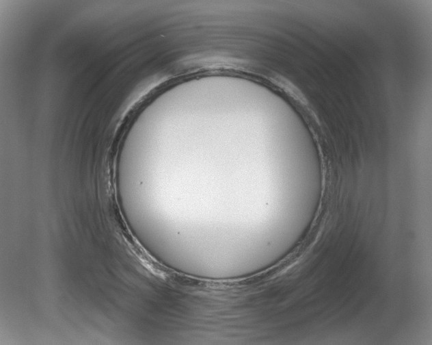 X0000081560782200701150958