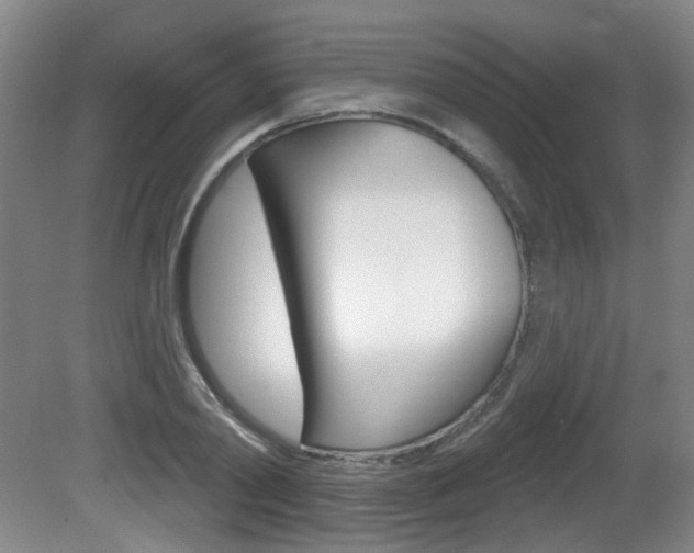X0000081560790200701150958