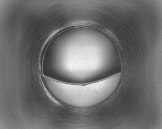 X0000081560792200701150958
