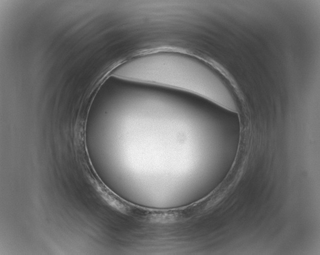 X0000081560793200701150958