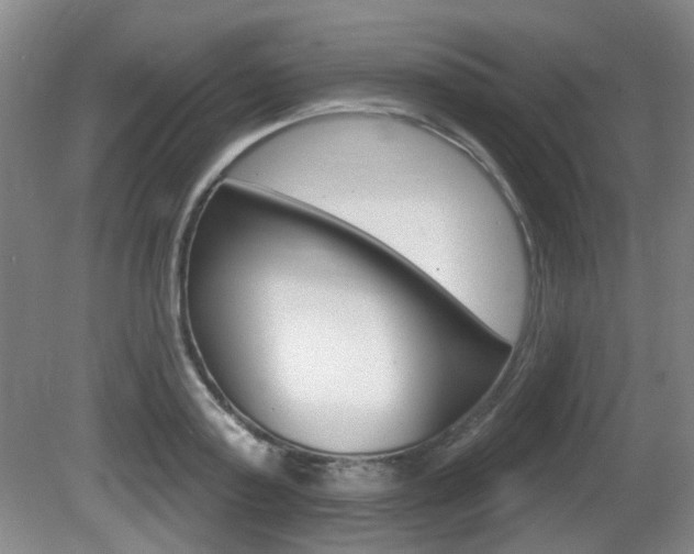 X0000081560795200701150958
