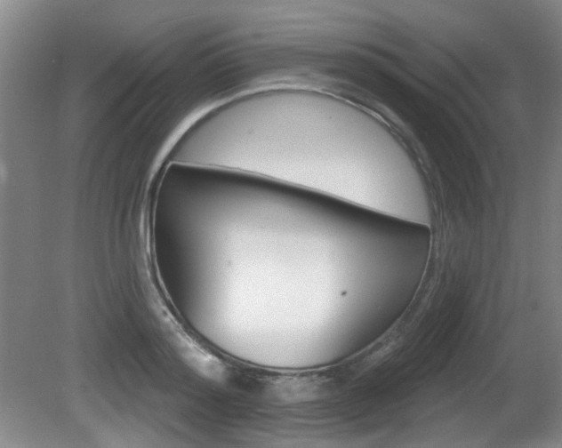 X0000081560796200701150958
