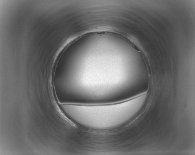 X0000081560797200701150958