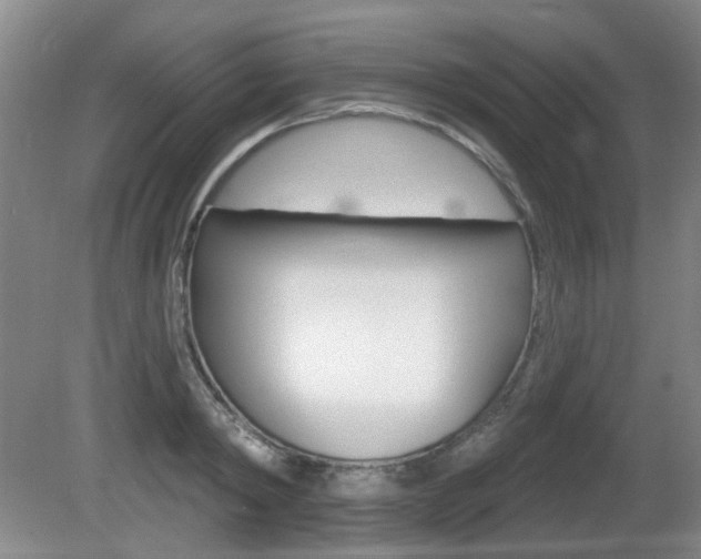 X0000081560798200701150958