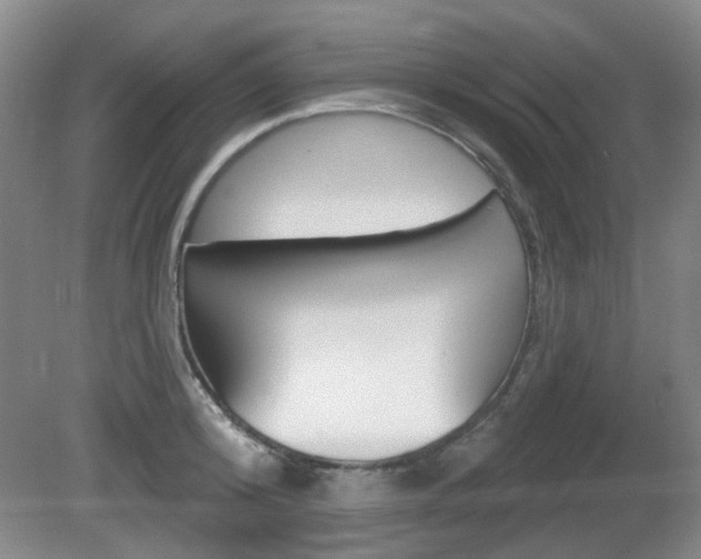 X0000081560800200701150958