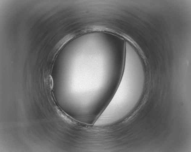 X0000081560801200701150958