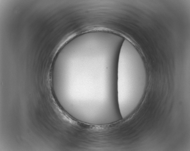 X0000081560806200701150958