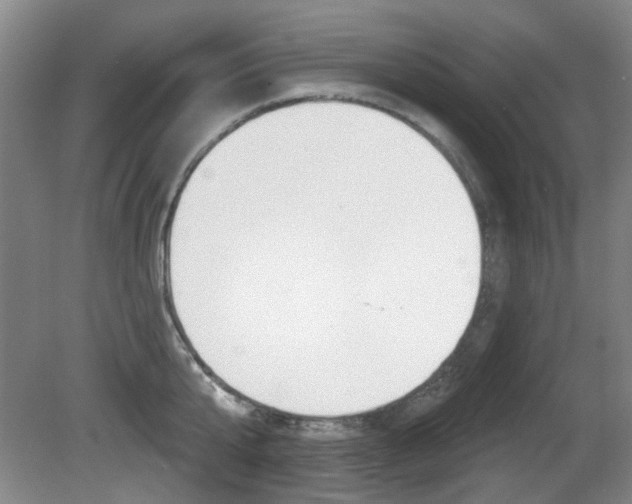 X0000081560807200701150958