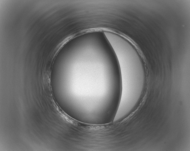 X0000081560809200701150958